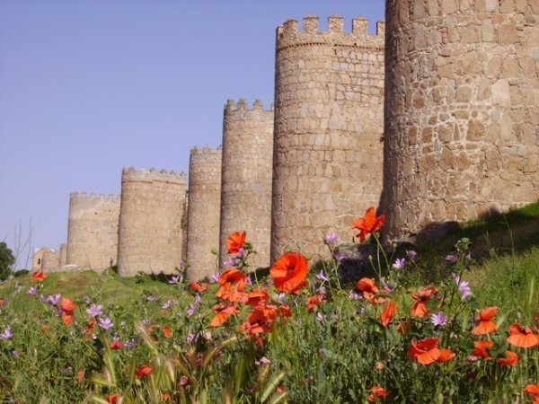 Avila